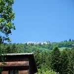 Le Lys Martagon Saint-Pierre-d'Entremont (Savoie)